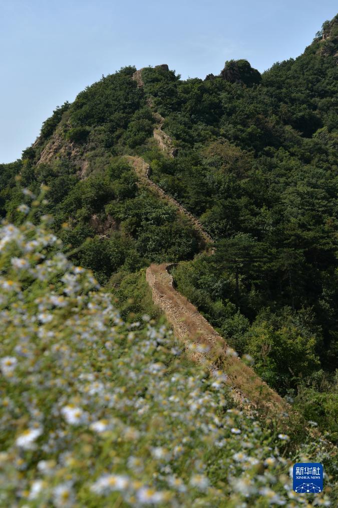 新普京集团网址